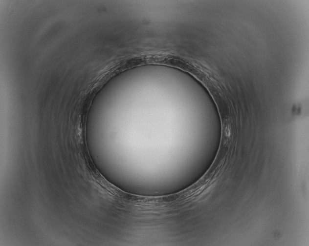 X0000091461252200708161100