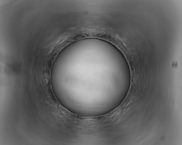 X0000091461253200708161100