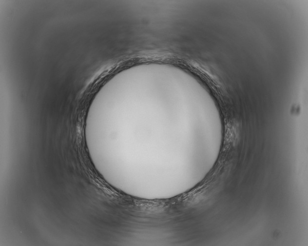 X0000091461254200708161100