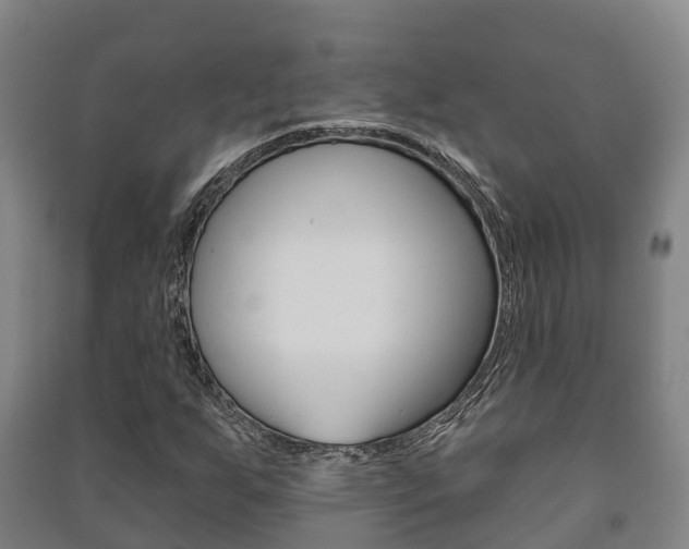 X0000091461255200708161100
