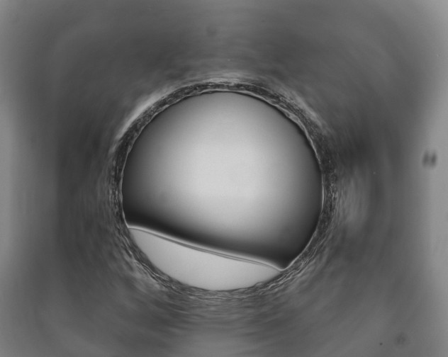X0000091461256200708161100