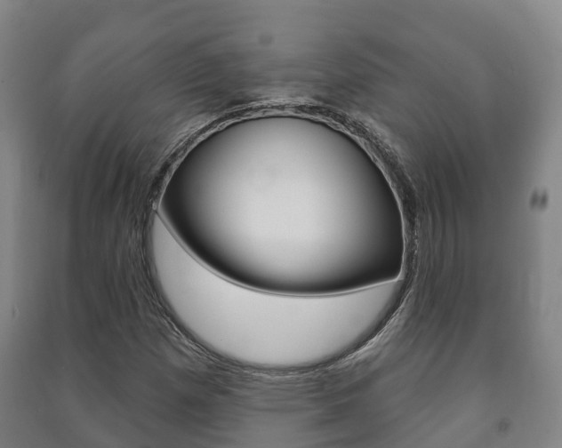 X0000091461257200708161100