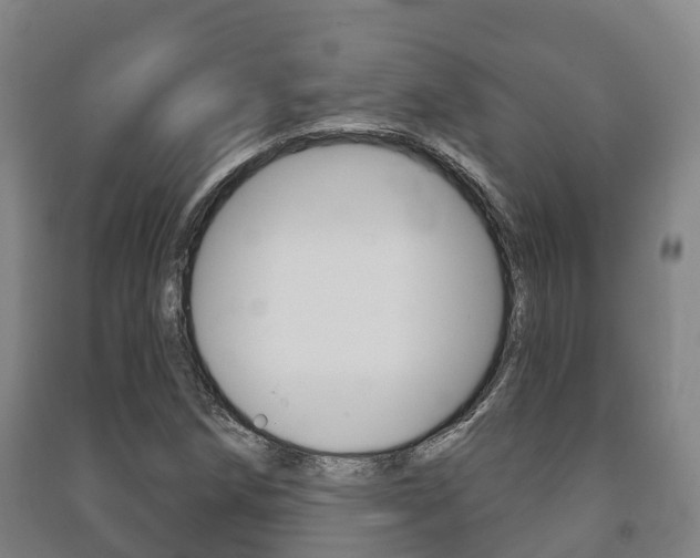 X0000091461258200708161100