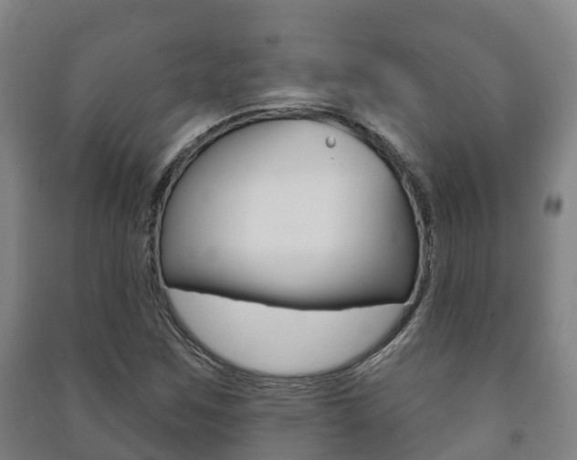 X0000091461259200708161100