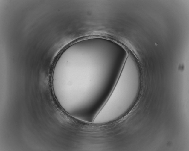 X0000091461260200708161100