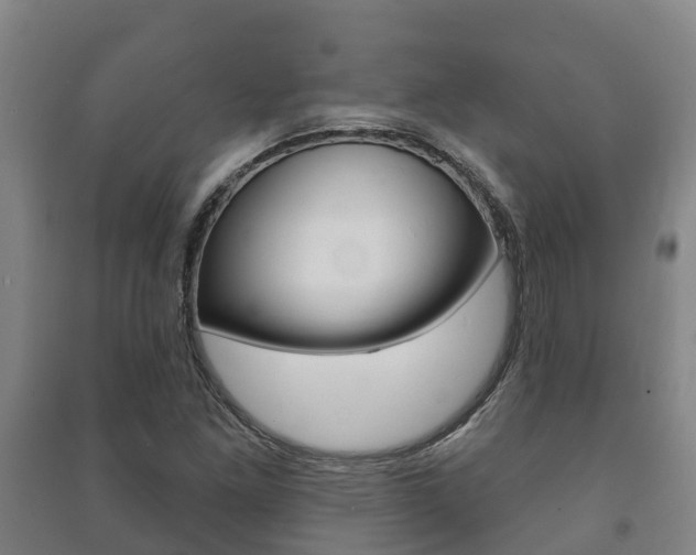 X0000091461261200708161100