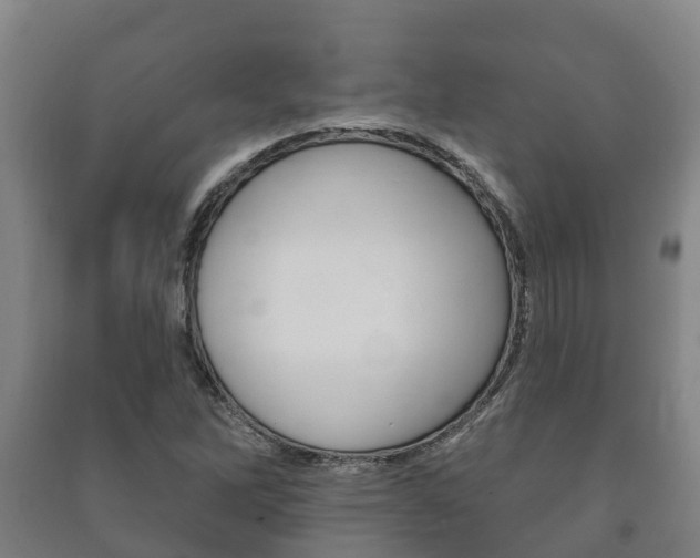 X0000091461262200708161100