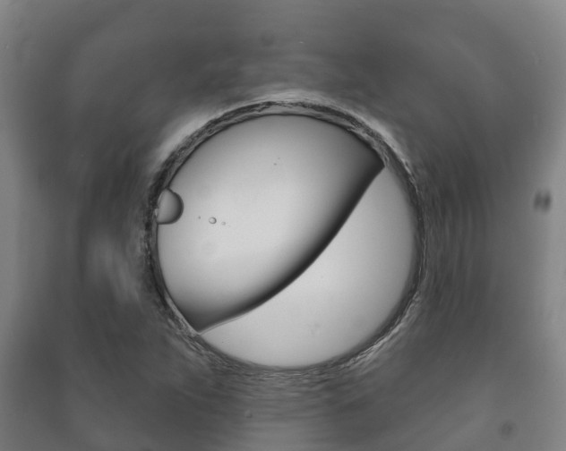 X0000091461263200708161100