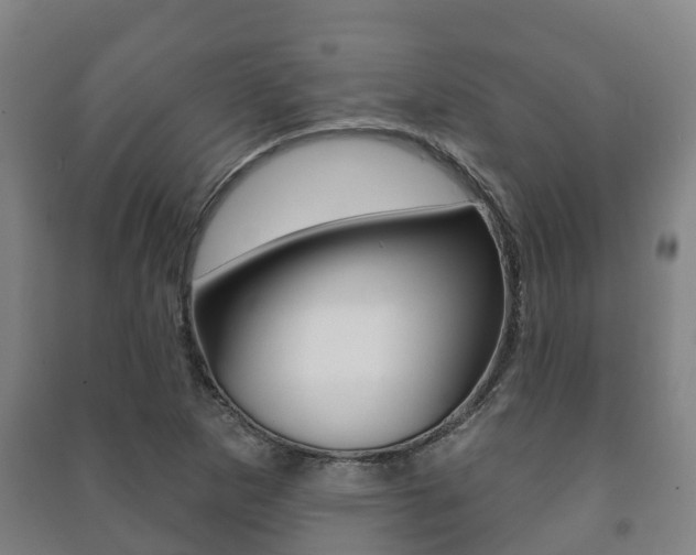 X0000091461265200708161100