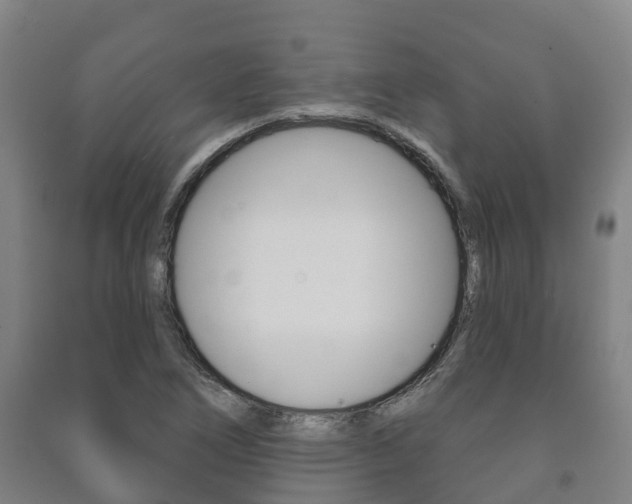 X0000091461266200708161100