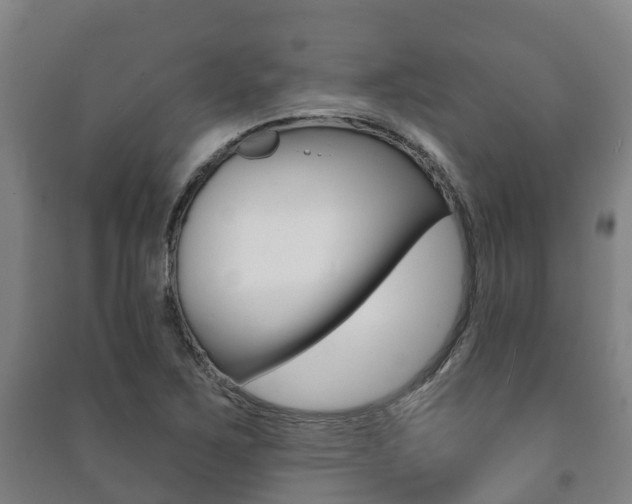 X0000091461267200708161100