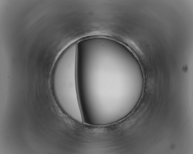 X0000091461268200708161100