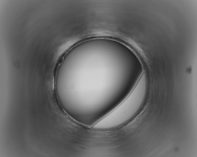 X0000091461269200708161100