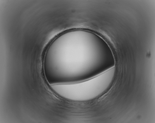 X0000091461270200708161100