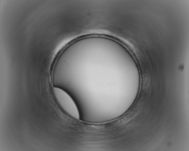 X0000091461271200708161100