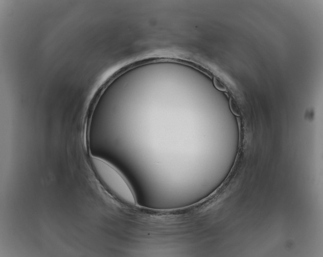 X0000091461272200708161100