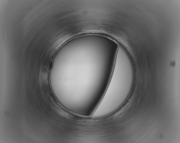 X0000091461273200708161100