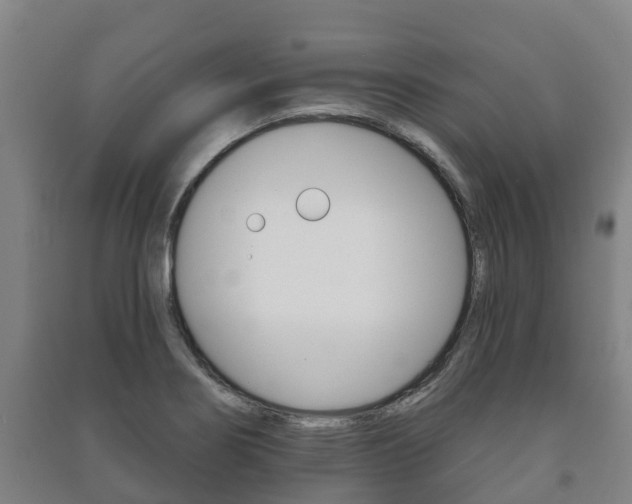 X0000091461274200708161100