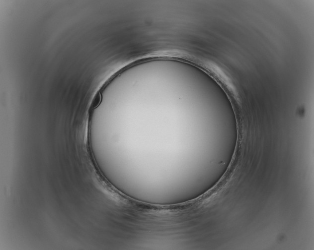 X0000091461276200708161100