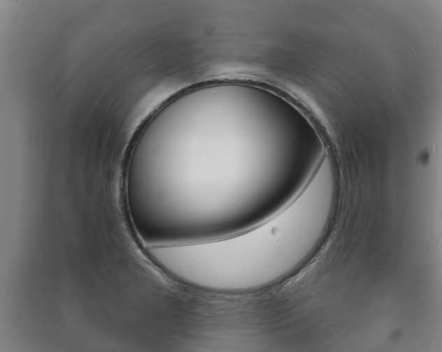 X0000091461277200708161100