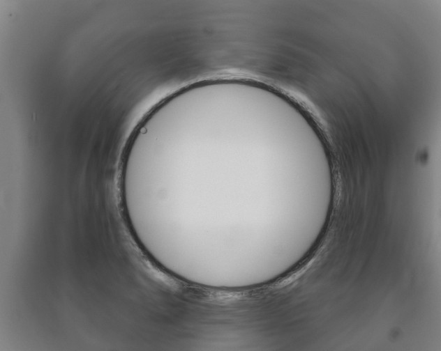 X0000091461278200708161100