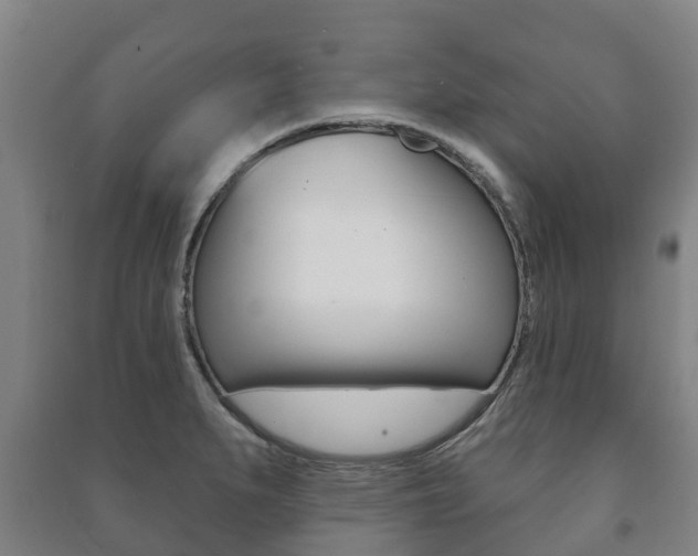 X0000091461279200708161100