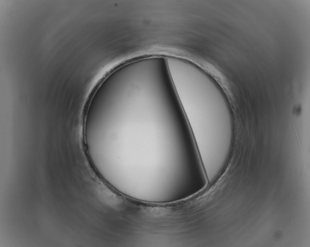 X0000091461280200708161100