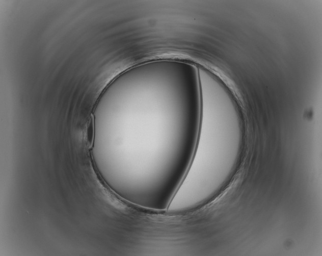 X0000091461281200708161100