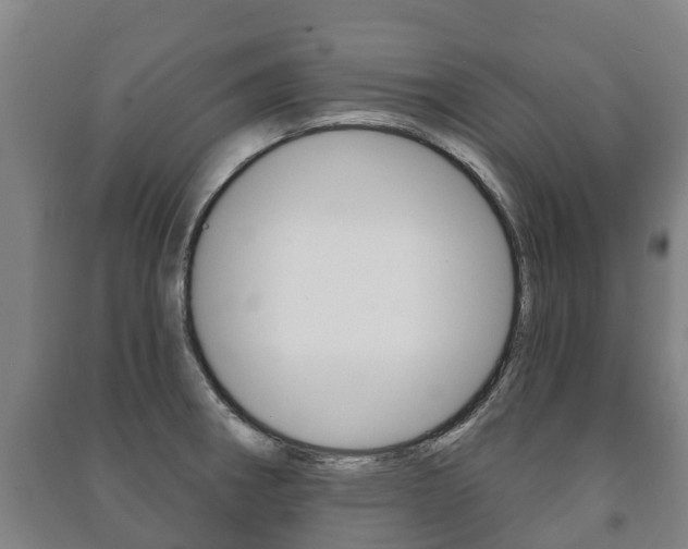 X0000091461282200708161100