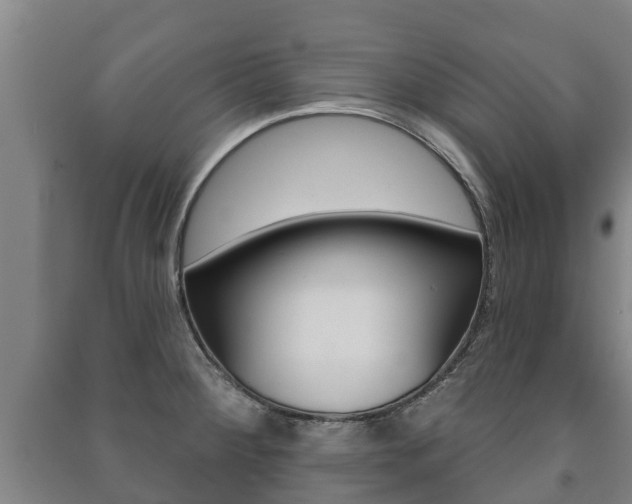 X0000091461284200708161100