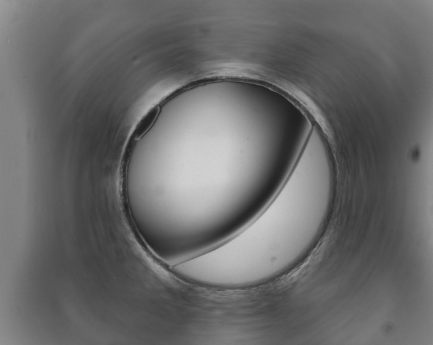 X0000091461285200708161100