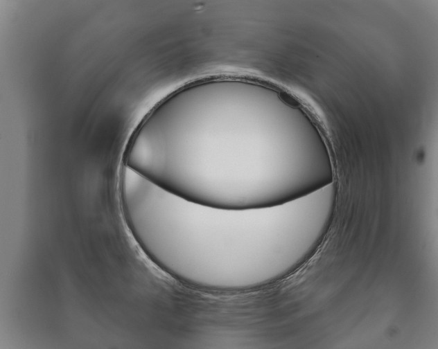 X0000091461287200708161100