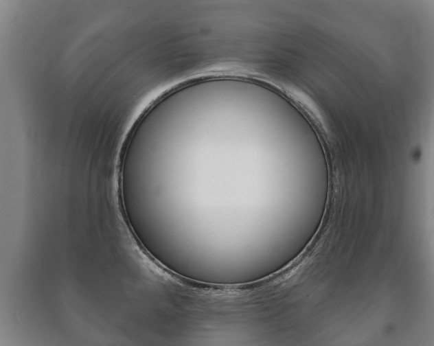 X0000091461288200708161100