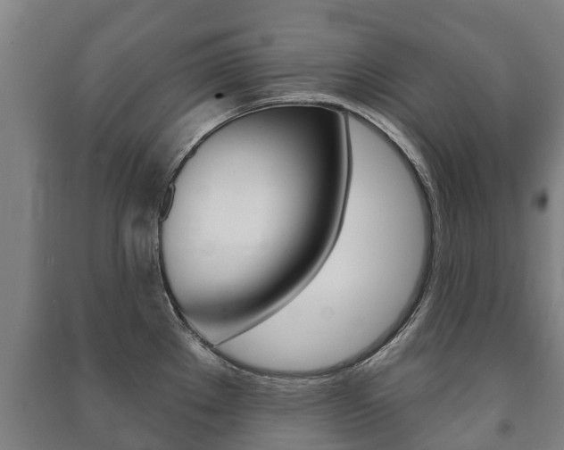 X0000091461289200708161100
