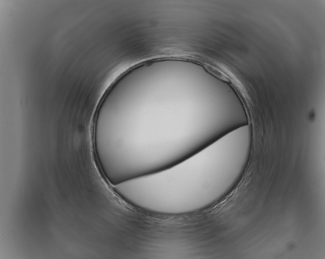X0000091461291200708161100