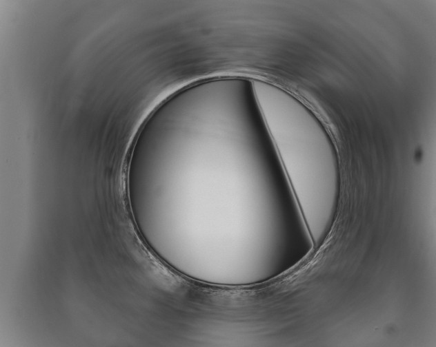 X0000091461292200708161100