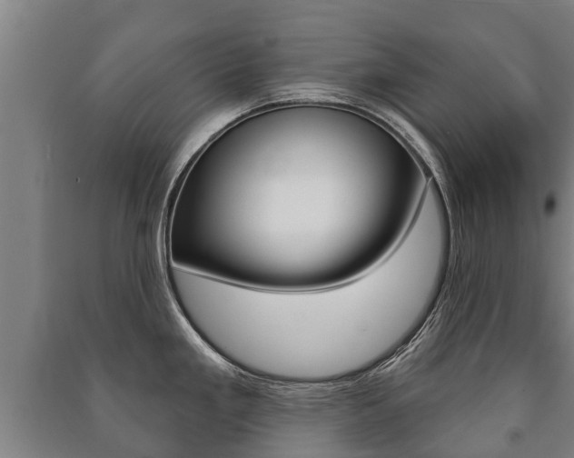 X0000091461293200708161100
