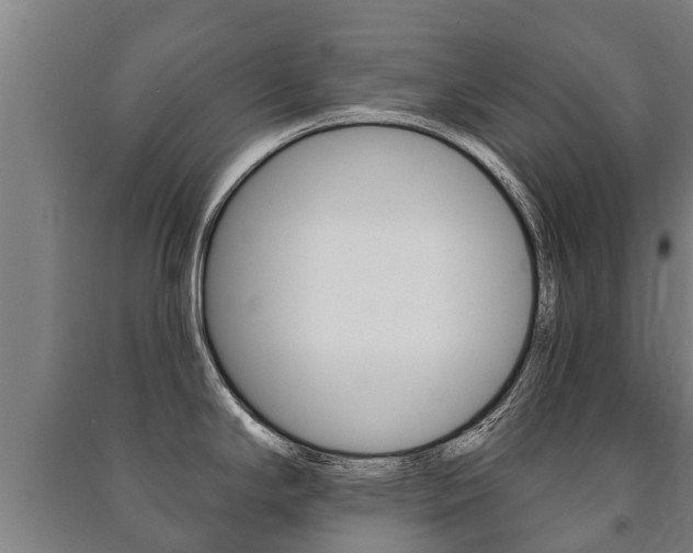 X0000091461294200708161100