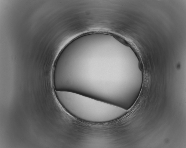 X0000091461295200708161100