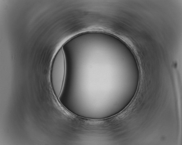 X0000091461296200708161100
