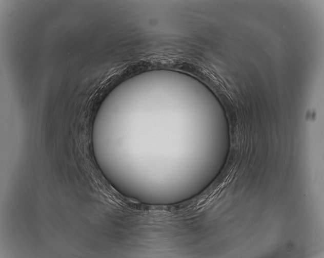 X0000091461297200708161059