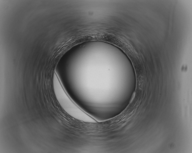 X0000091461298200708161059
