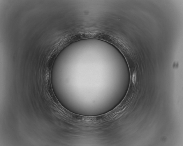 X0000091461299200708161059