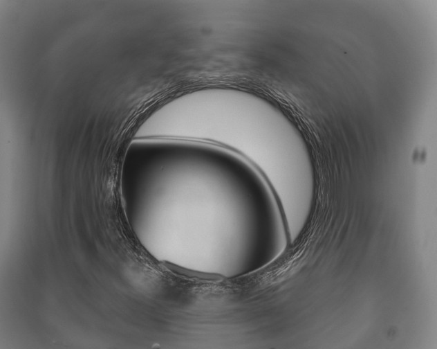 X0000091461300200708161059