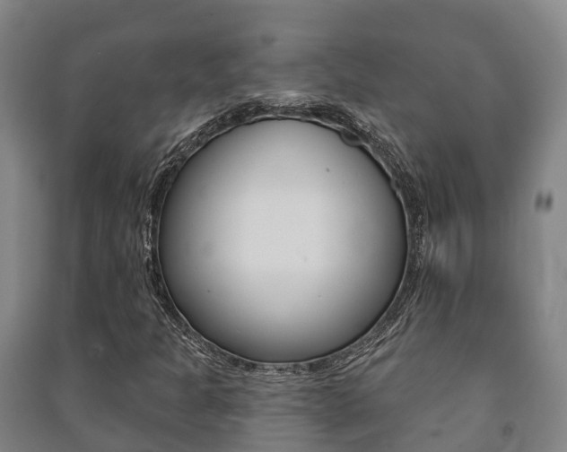 X0000091461301200708161059
