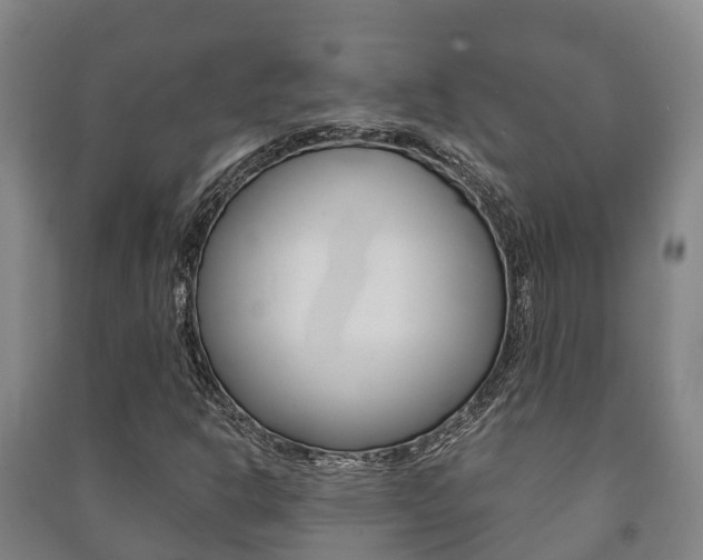 X0000091461302200708161059