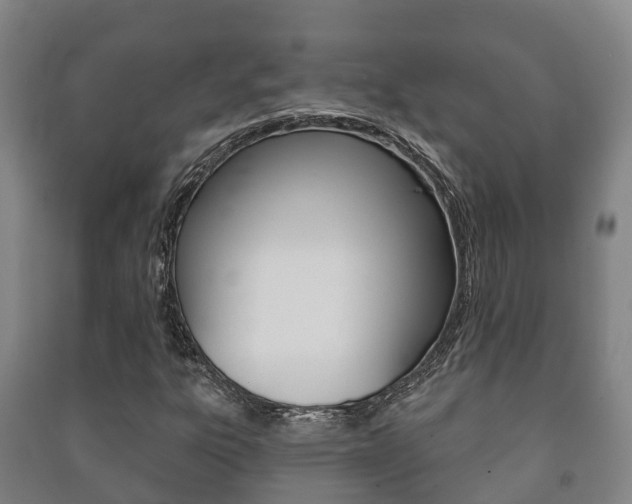 X0000091461303200708161059