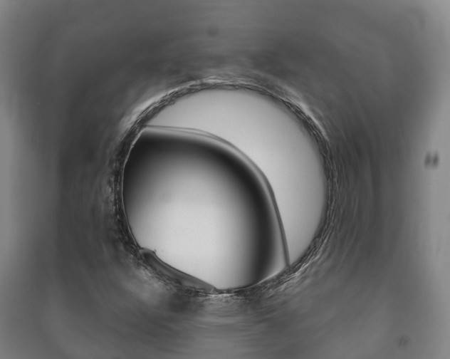 X0000091461304200708161059