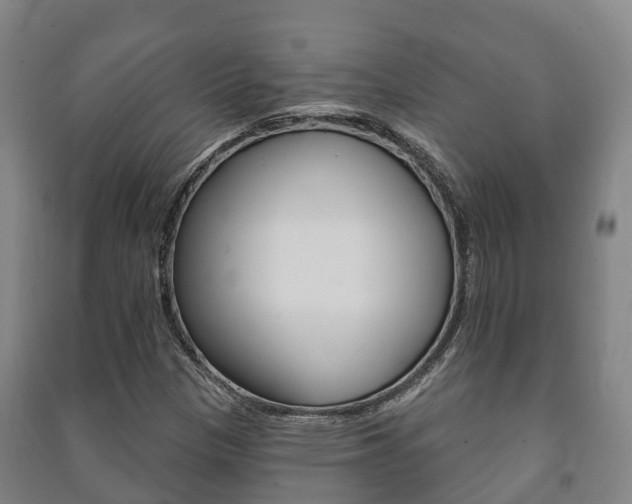 X0000091461305200708161059