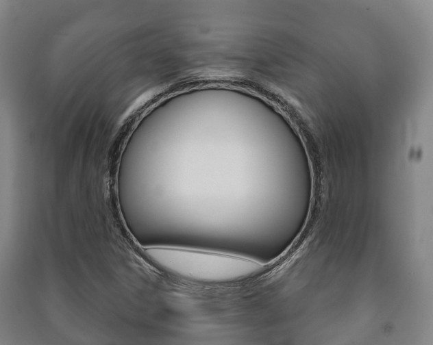 X0000091461306200708161059